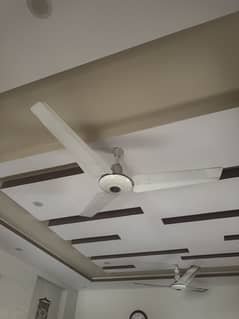 Royal Fan Excellent Condition