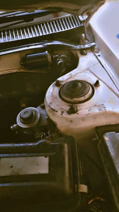 Other Brands Other 1988