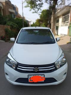 Suzuki cults vxl
