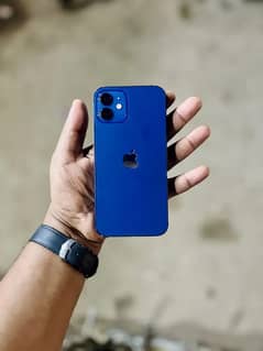Iphone 12 jv