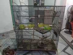 2 Portion Master Cages (Different pieces) – Rs. 2000 per Portion