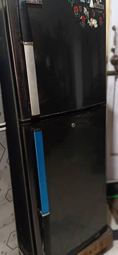 Orient Fridge