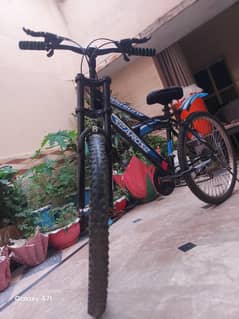 SeaRose Original Bicycle - Imported from UK