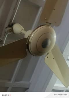 03142254876campany