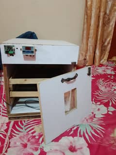 use incubator 100 eggs machine