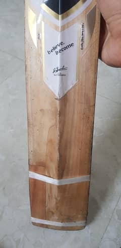 S G bat