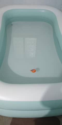 Large Swimming Pool