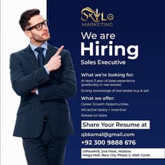 Sales Executive