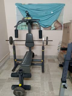 multiple gym