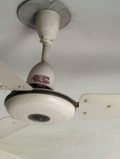 GFC ceiling fan