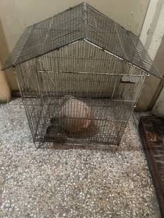 2 CAGE