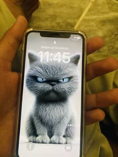 iPhone X