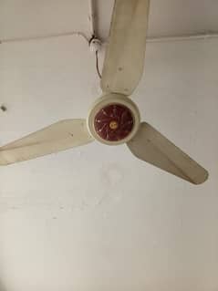 ceiling fan