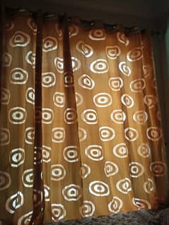 Full length curtains two pieces