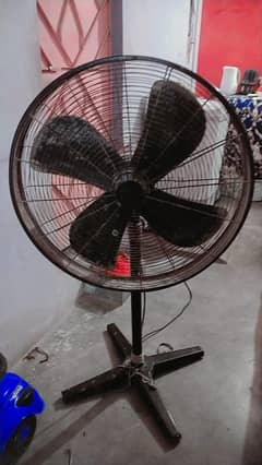 gfc fan