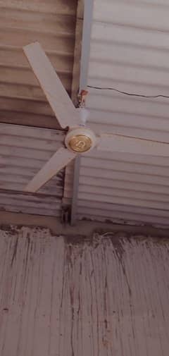 soco fan