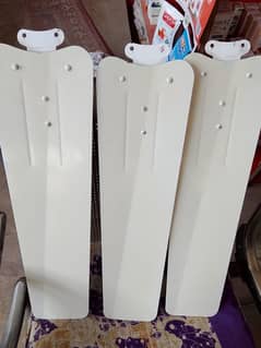Pak Fan full size 56"