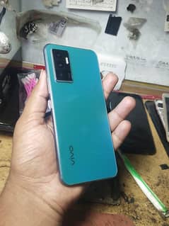 vivo