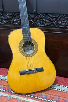 Guitar