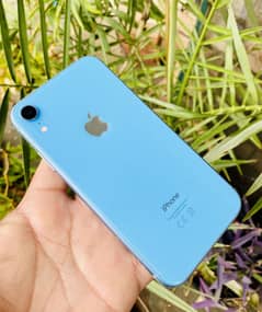 iPhone