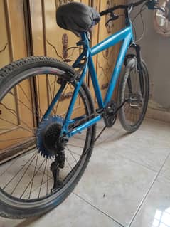 cycle 11000.03142793011