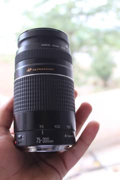 canon 75-300 zoom lens for sale