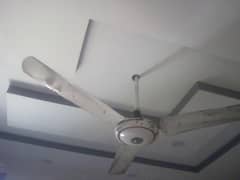 3 fan(2 Taimoor fan)1 suffi(03053991673/Whatsupp)Read full