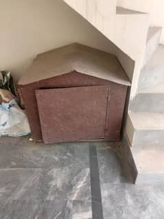 dog house