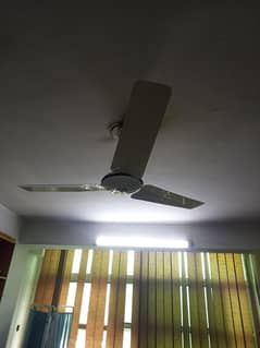 pak fan 100 percent coper ( Total 3 fan 1 pak fan 2 starco fan