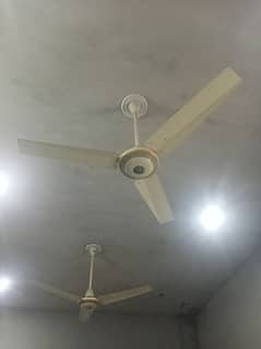 Ceiling