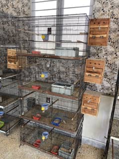 Cages