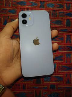 Apple iPhone 12