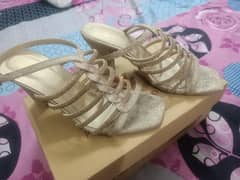 stylo