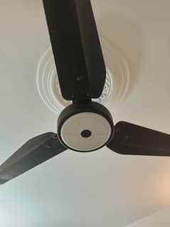 Ceiling