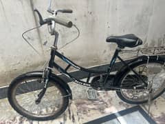 China cycle