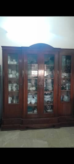 showcases new condition