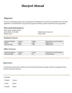 Need a Job in Lahore