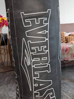 Everlast punching bag