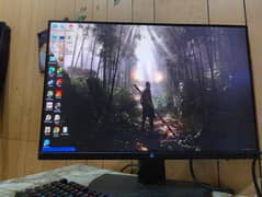 hp borderless lcd