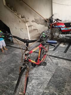 new cycle
