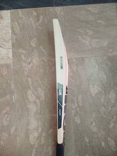 GM SPORTS KASHMIR WILLOW (New bat)