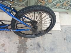 cycle whatshap no 0330+125+9905