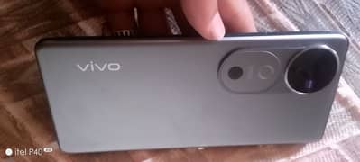 VIVO