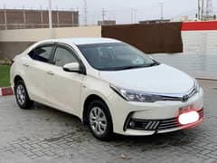 carolla Gli Automatic 13 cc