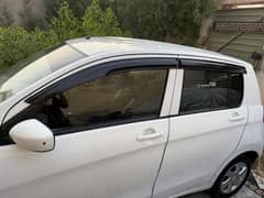 Suzuki cultus