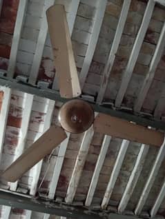 Ceiling