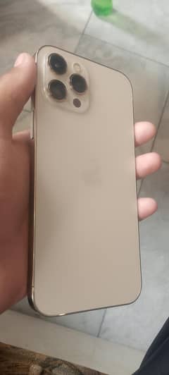 iphone 12 pro max 256 gb