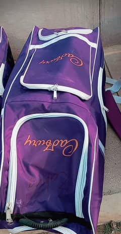 cricket kit complete