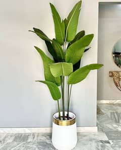 Artificial Banana Plant with Fiber High Quality Pot All Sizes