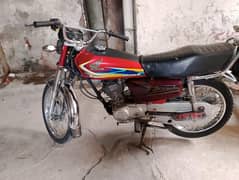 ingan
